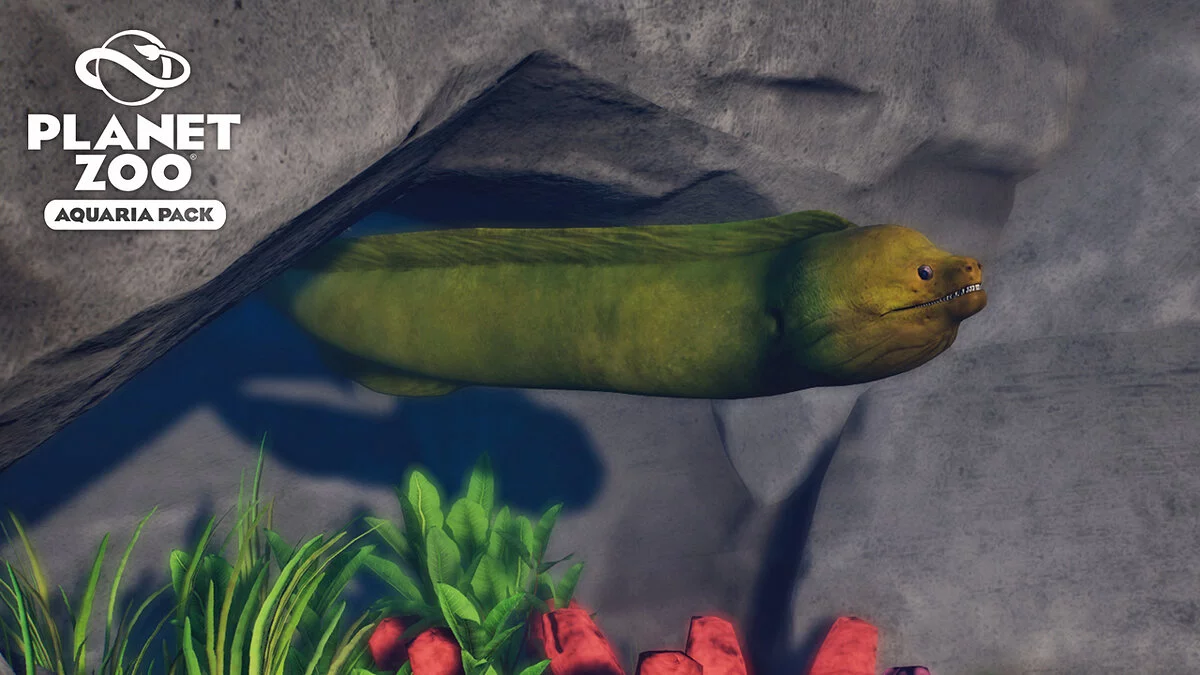 Planet Zoo — Зеленая мурена - новые виды
