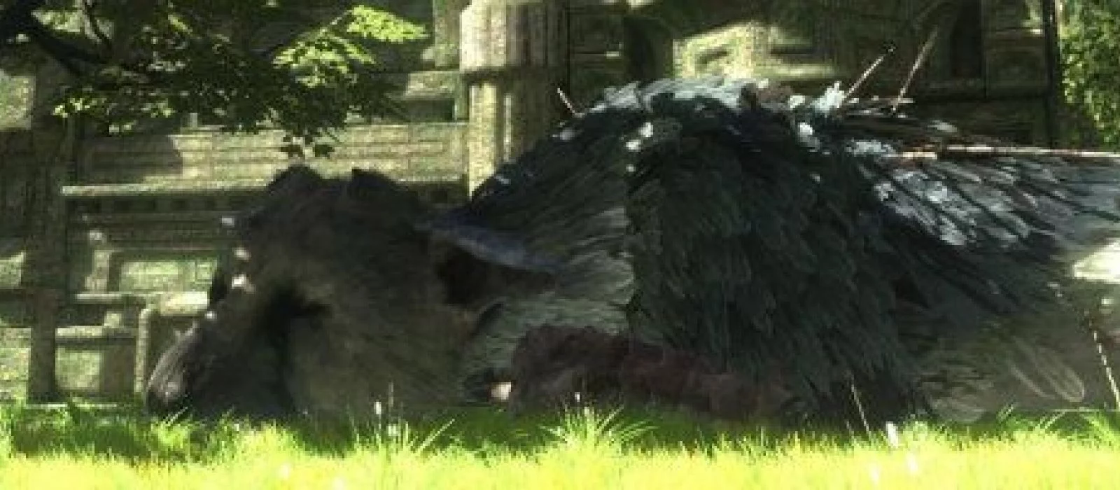 Sony отказалась от торговой марки The Last Guardian