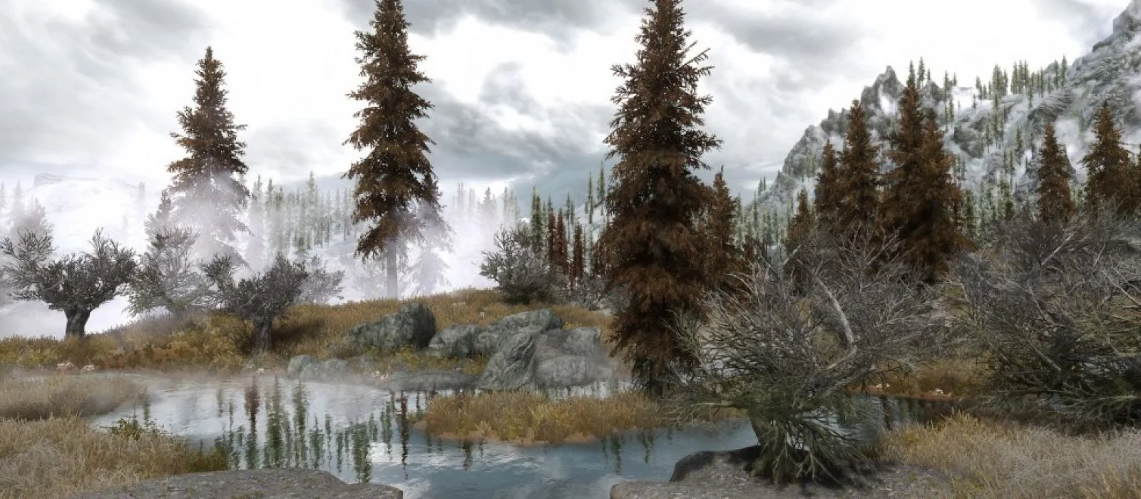 Создан мод, который играет в Skyrim за вас — видео